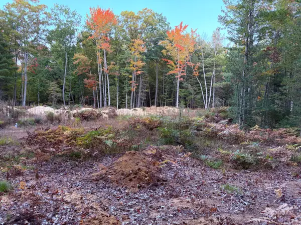Lot #20 Indian Oaks Trail, Prudenville, MI 48651