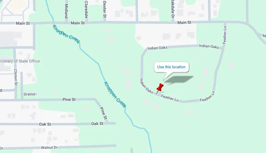 Lot #20 Indian Oaks Trail, Prudenville, MI 48651 - #2