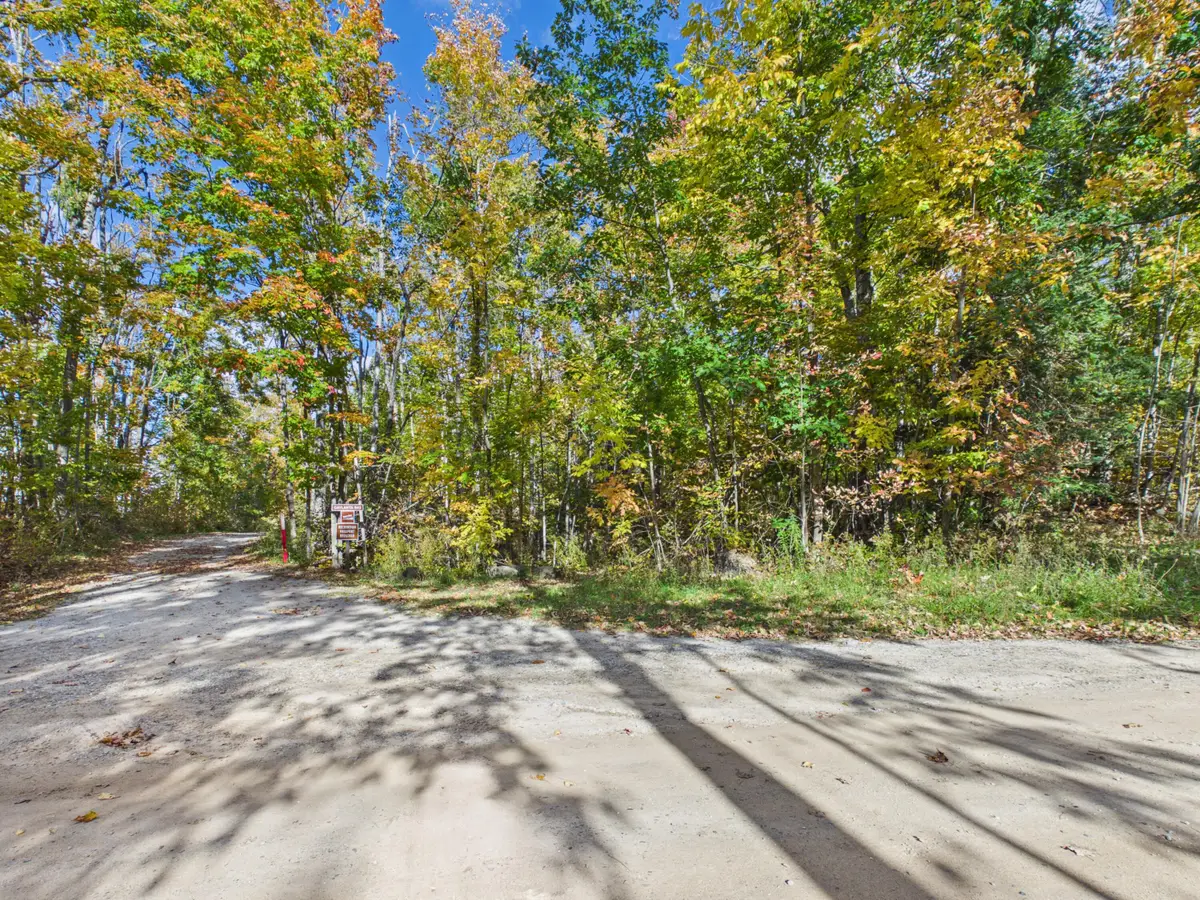 9067 Camp 3 Road, Atlanta, MI 49709 - #1
