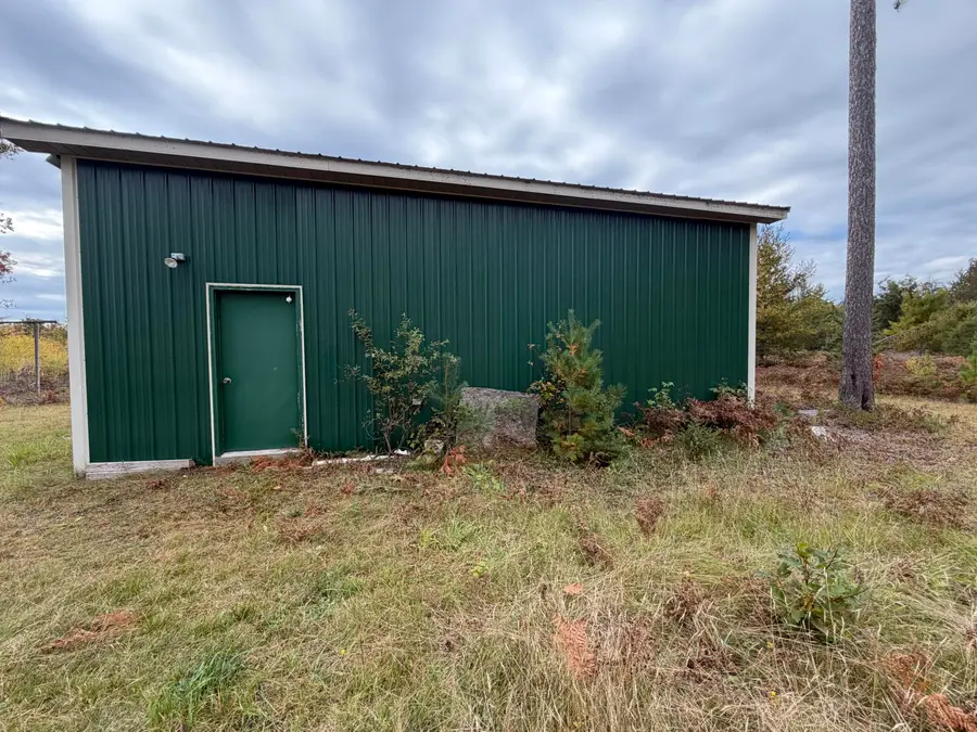 23030 Bowden Trail, Hillman, MI 49746 - #3