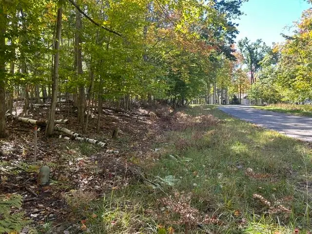 VL 227-229 Woodcock Court, Gaylord, MI 49735 - #1