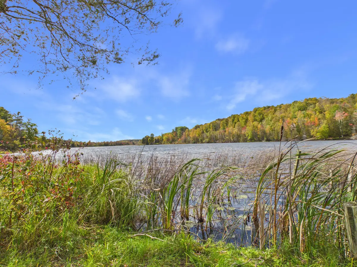 6355 Rushton Road, Ellsworth, MI 49729 - #1