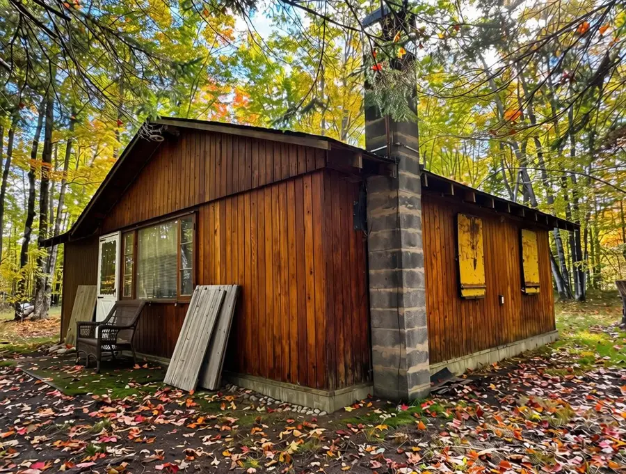 2230 Mann Road, Cheboygan, MI 49721 - #2