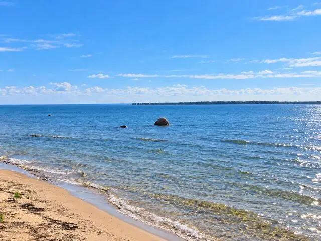 7405 Turnbull Mill Road, Alpena, MI 49707 - #2
