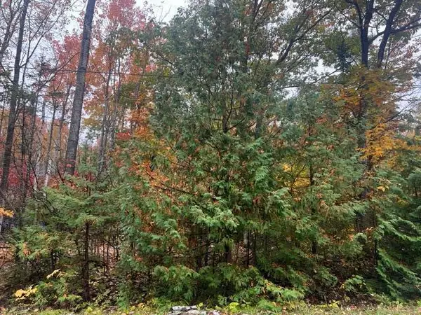 Lot 88 Timberway Drive, Presque Isle, MI 49777