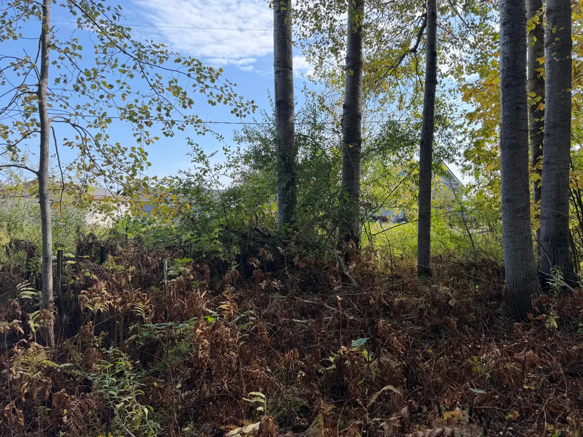V/L .27AC Cedar Drive, Black River, MI 48721 - #1