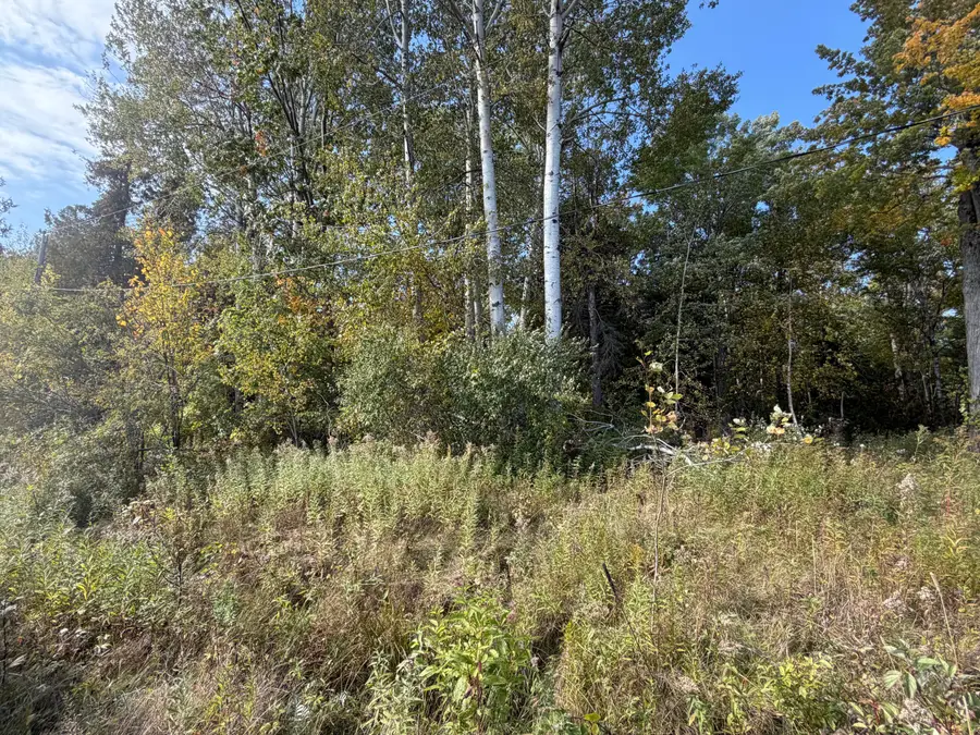 V/L .27AC Cedar Drive, Black River, MI 48721 - #3