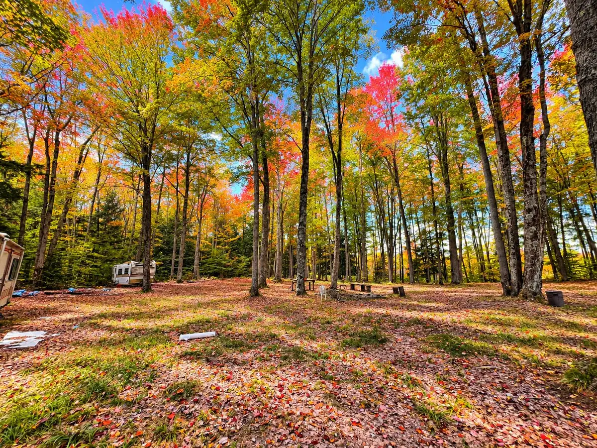 V/L 10 AC Third Road, Kalkaska, MI 49646 - #1
