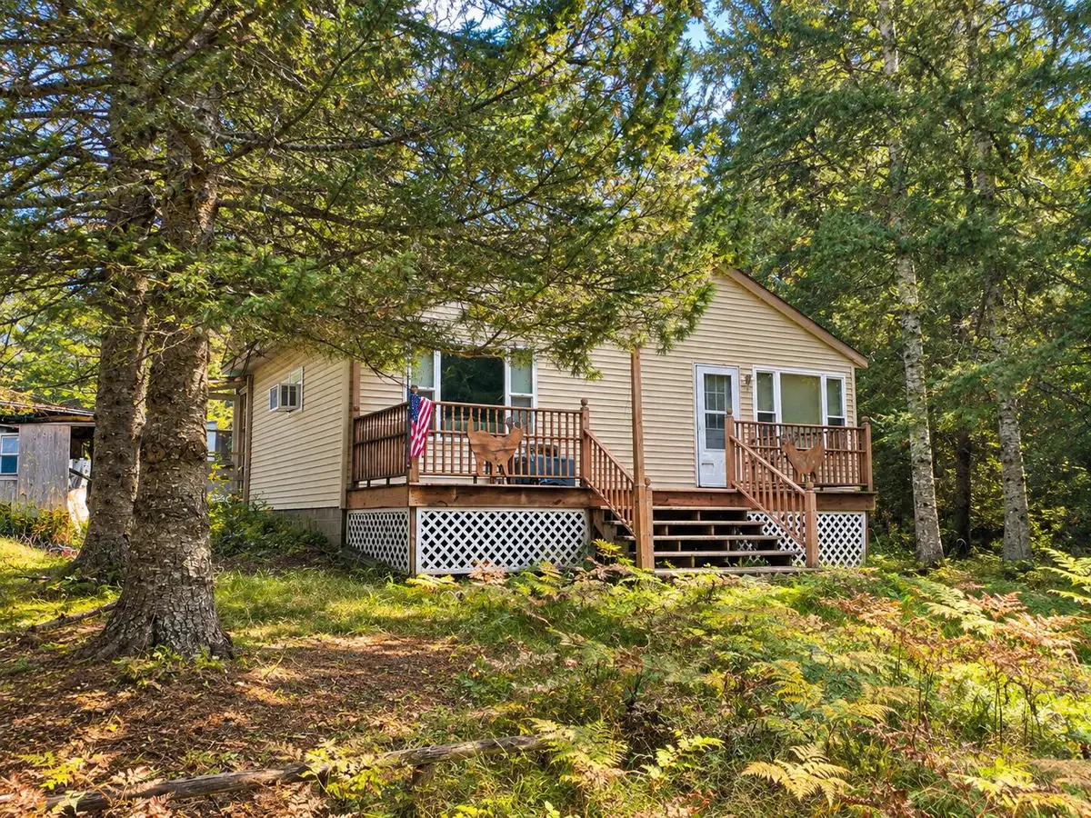17747 Whitetail Trail, Hillman, MI 49746 - #1