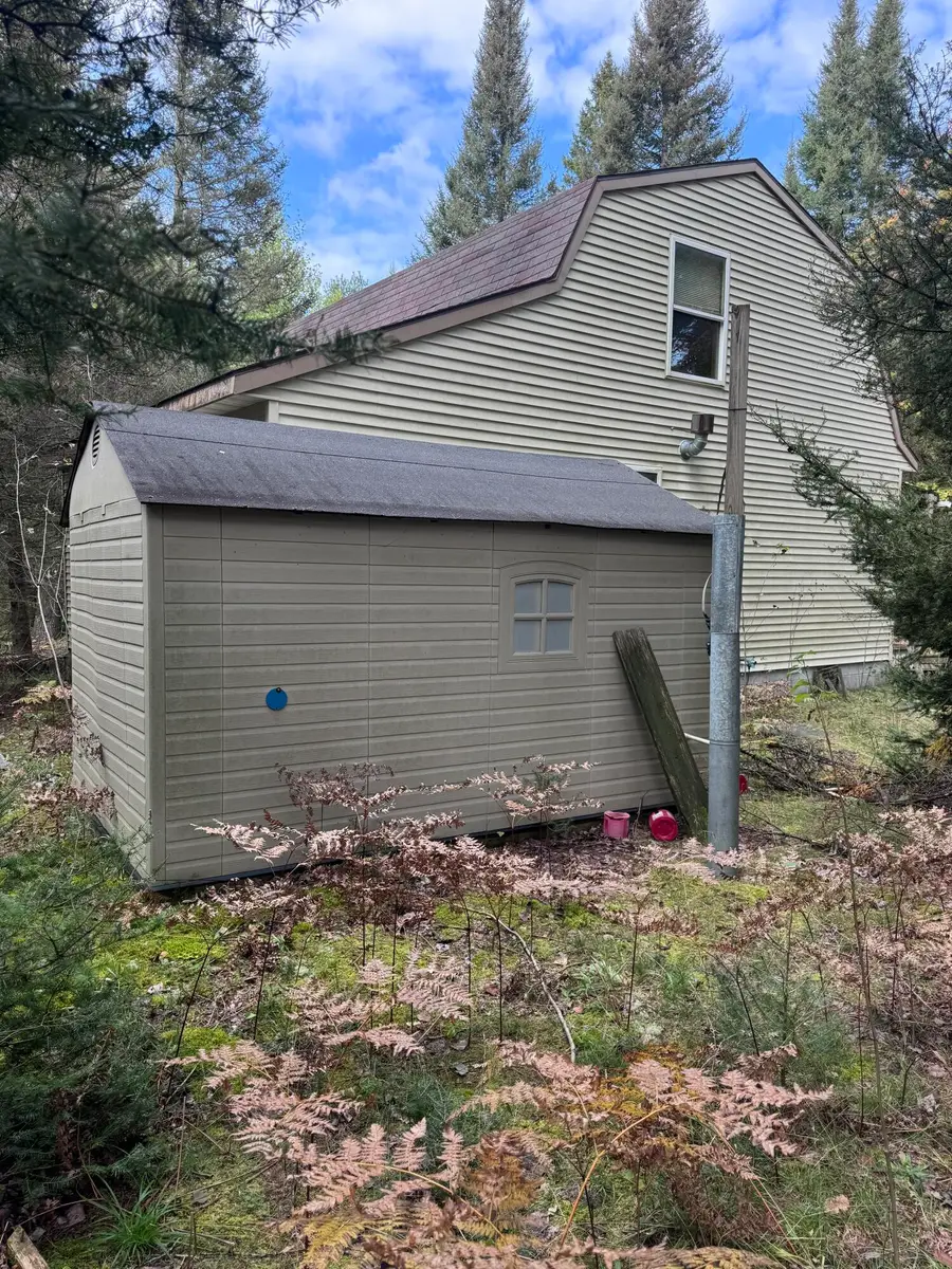 17747 Whitetail Trail, Hillman, MI 49746 - #3