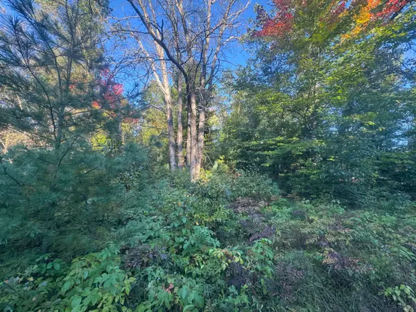 Lot 17 Aeronca Road, Luzerne, MI 48636