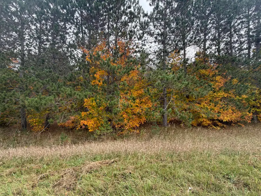 161 Sigma Road, Kalkaska, MI 49646 - #3
