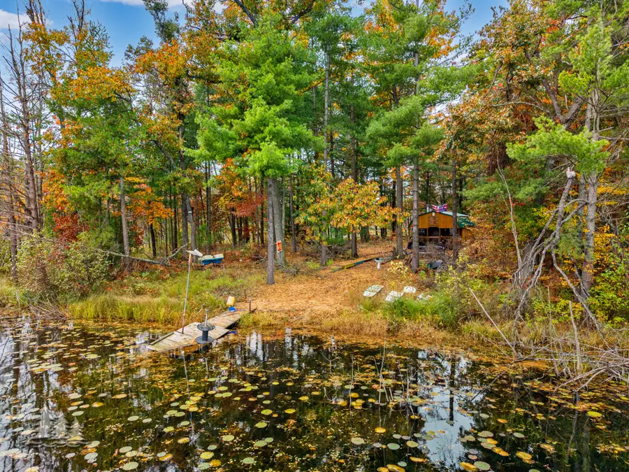 5540 Big Wolf Lake Road, Lewiston, MI 49756 - #3