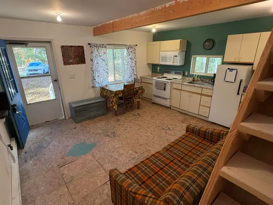 17855 Francis Avenue, Hillman, MI 49746 - #2