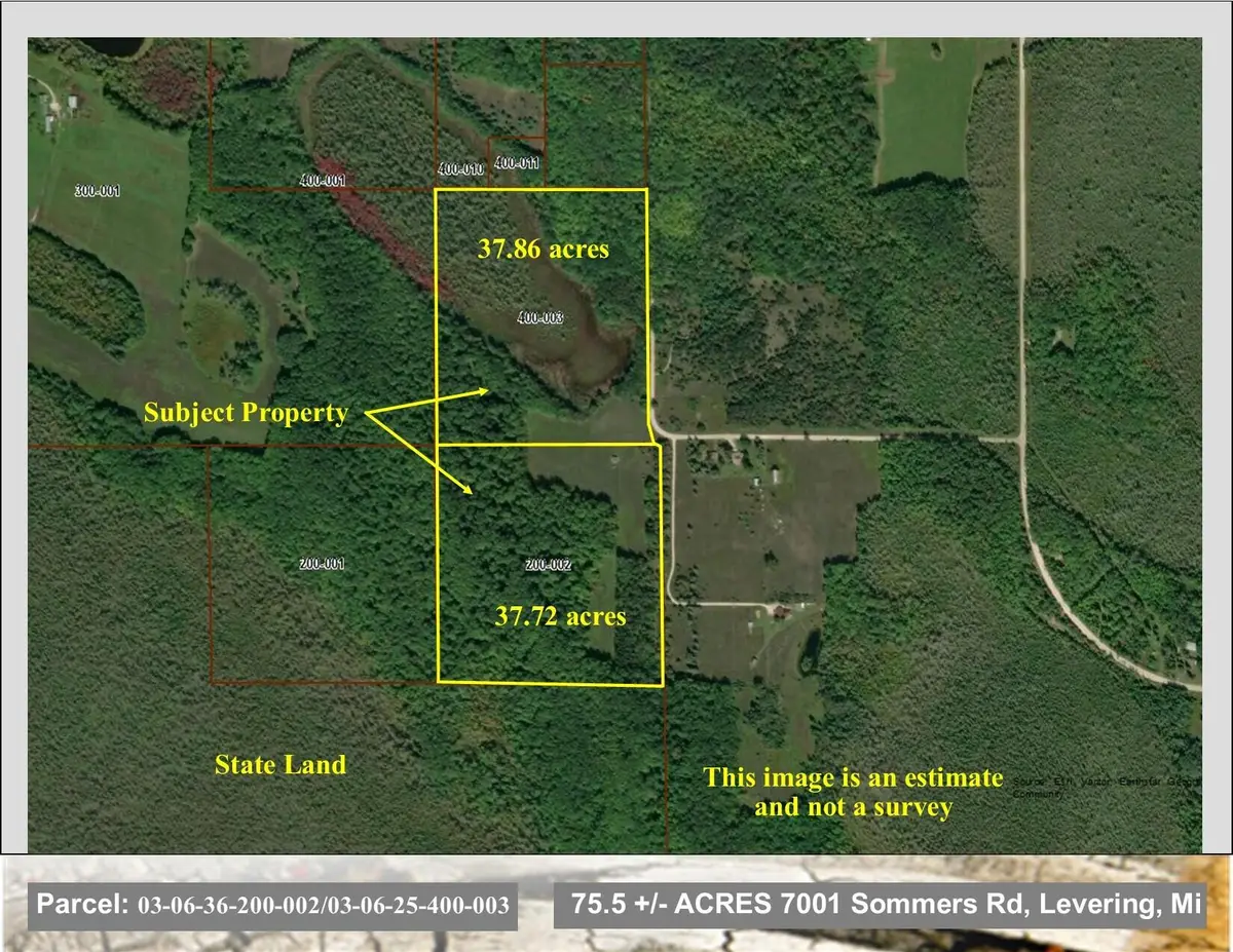 7001 Sommers Road, Levering, MI 49755 - #1