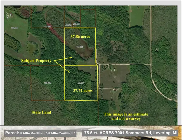 7001 Sommers Road, Levering, MI 49755
