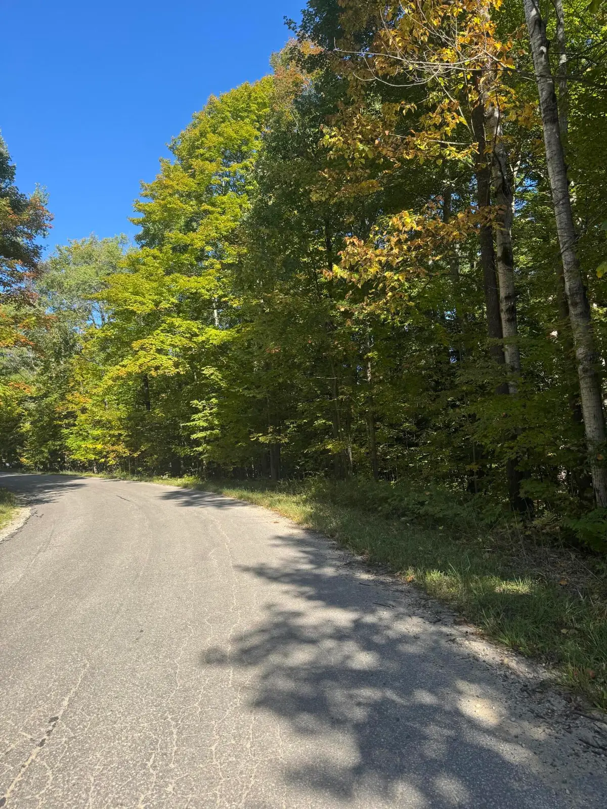 V/L 2 AC Lewis Road, East Jordan, MI 49727 - #1