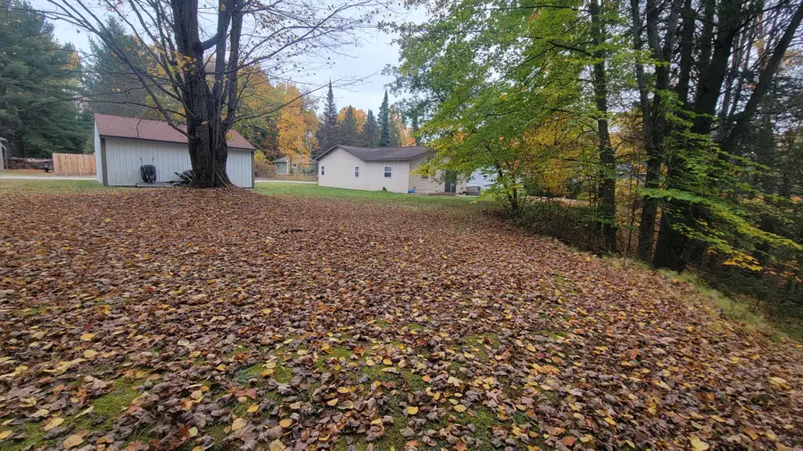3754 S F 41, Mikado, MI 48745 - #2