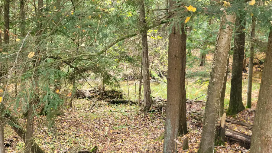 3754 S F 41, Mikado, MI 48745 - #3