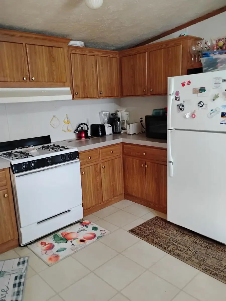 147 W Finkle Road, McBain, MI 49657 - #3
