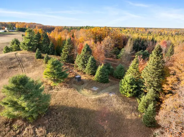7726 Reed Road, Levering, MI 49755