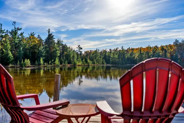 18094 Lakeview Drive, Hillman, MI 49746