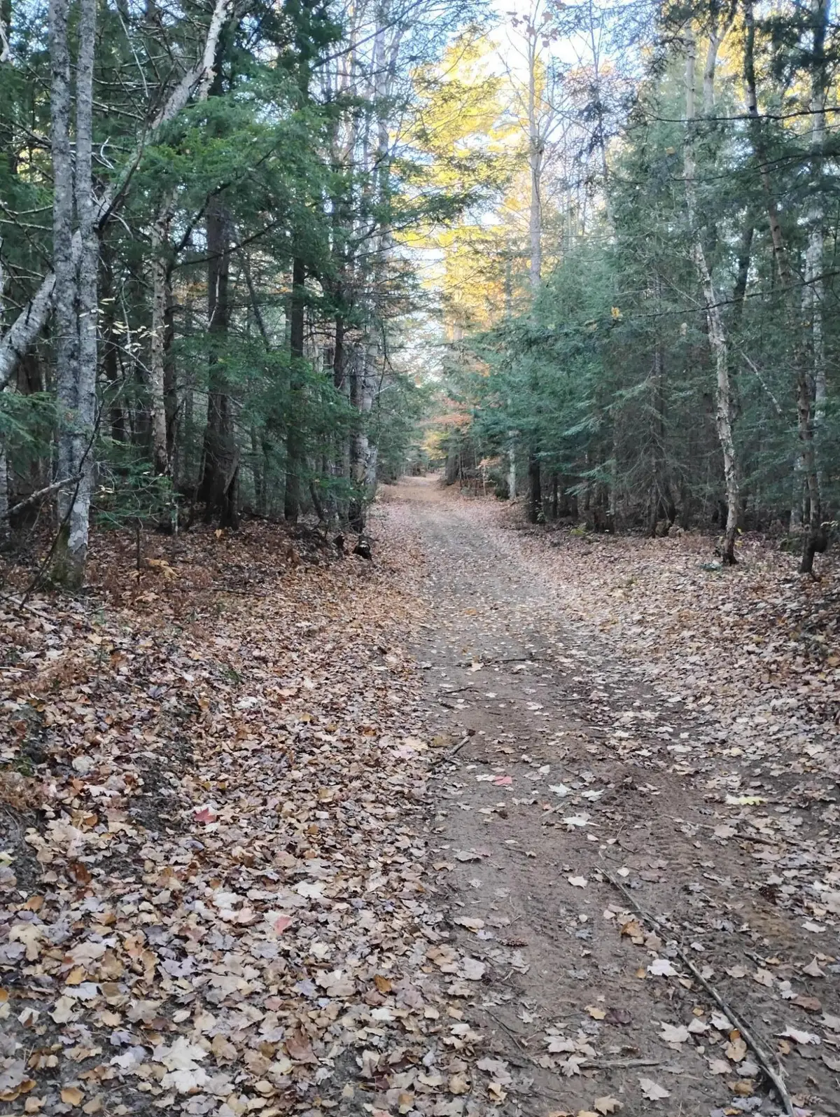 v/l 20ac W Verns Road, Paradise, MI 49768 - #1