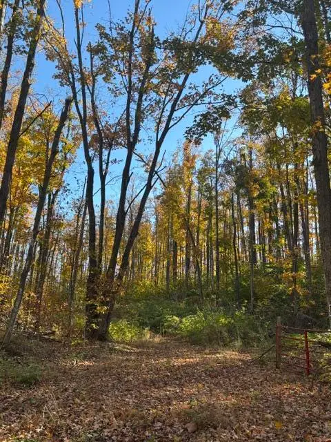 11201 White Ash Trail, Vanderbilt, MI 49795