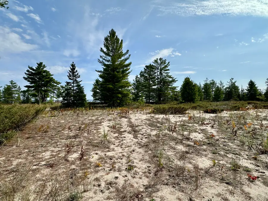 3286 Edgewater Drive, Cheboygan, MI 49721 - #3