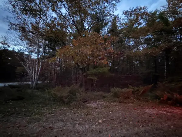 Lot #109 Ponderosa Circle, Presque Isle, MI 49777