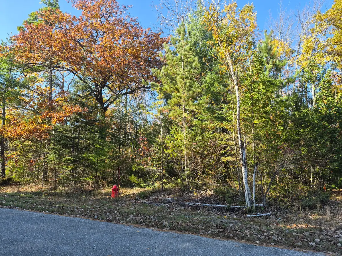 Lot 419 Bonita Drive, Presque Isle, MI 49777 - #1
