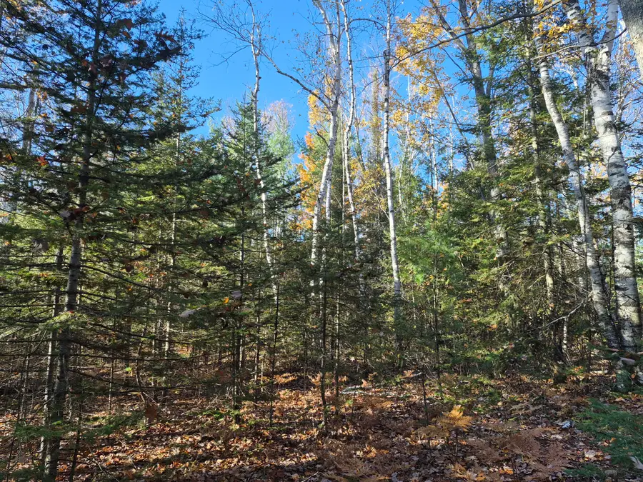 Lot 419 Bonita Drive, Presque Isle, MI 49777 - #3