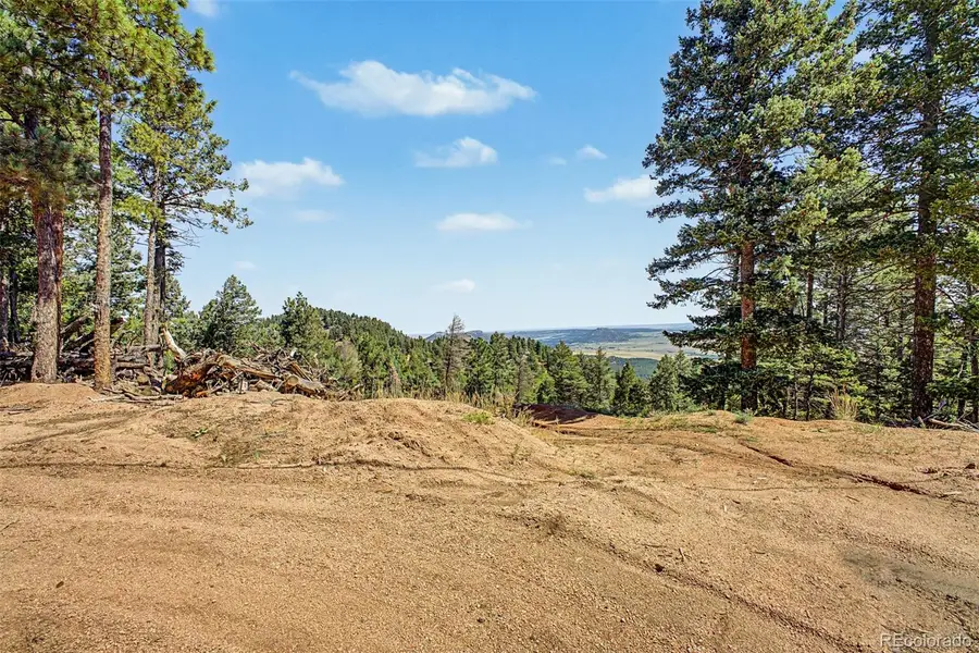 2199 Badger Drive, Larkspur, CO 80118 - #3