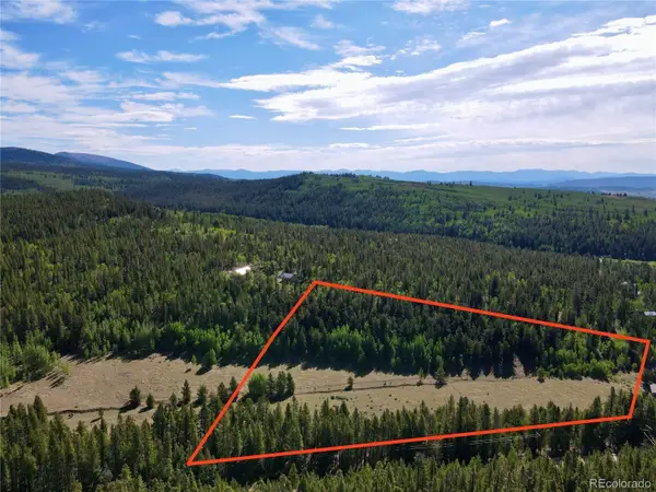 152 Co Rd 665, Fairplay, CO 80440