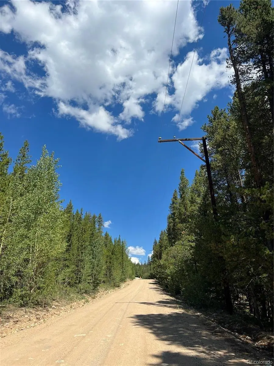 152 Co Rd 665, Fairplay, CO 80440 - #3