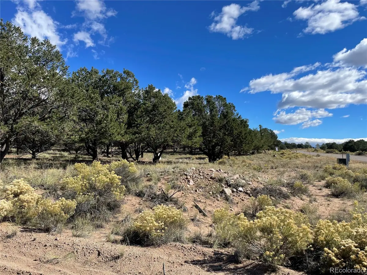 178 Moonlight, Crestone, CO 81131 - #1