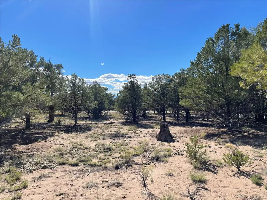 178 Moonlight, Crestone, CO 81131 - #2