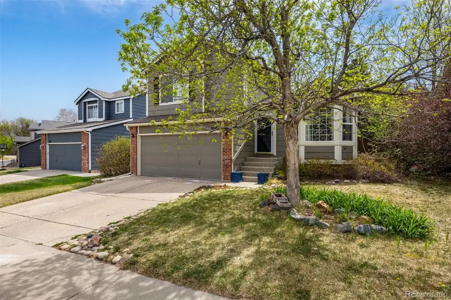 9545 Cove Creek Drive, Highlands Ranch, CO 80129 - #2