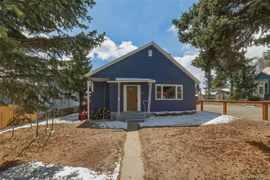 231 W 8th Street, Leadville, CO 80461 - #2