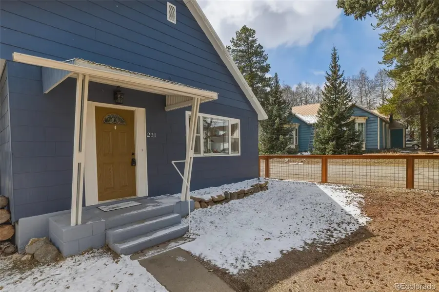 231 W 8th Street, Leadville, CO 80461 - #3