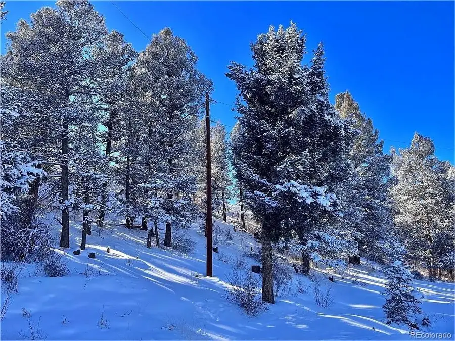 44 Arthurs Court, Fairplay, CO 80440 - #2