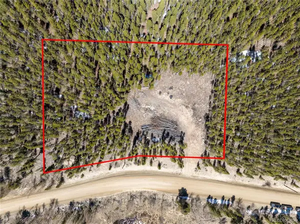 3149 Nugget Road, Fairplay, CO 80440
