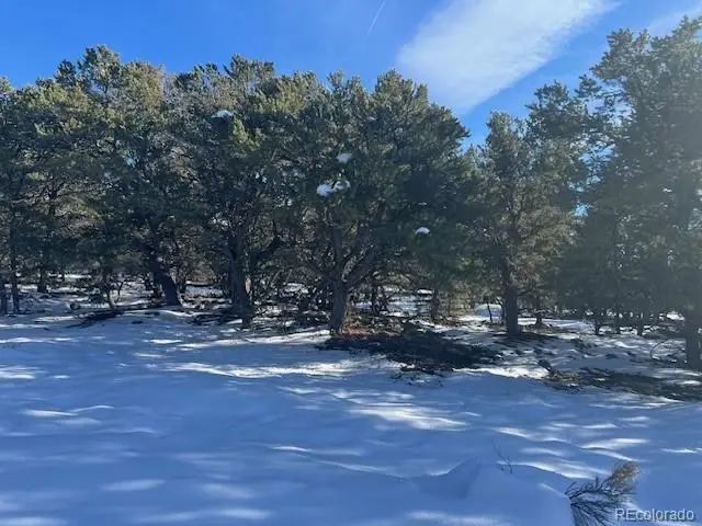 3952 Cheerful Place, Crestone, CO 81131 - #1