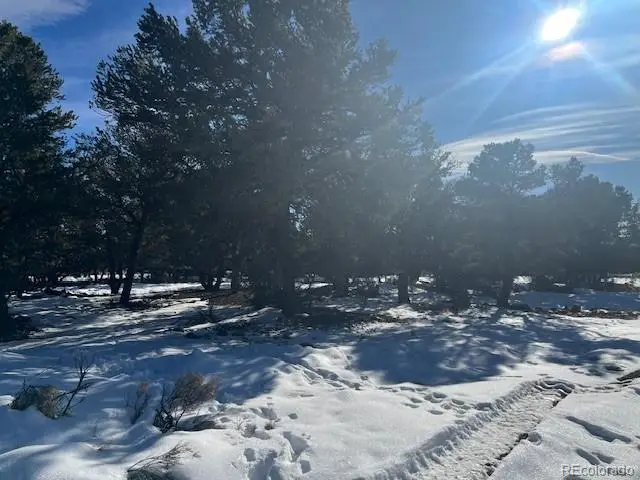 3952 Cheerful Place, Crestone, CO 81131 - #3