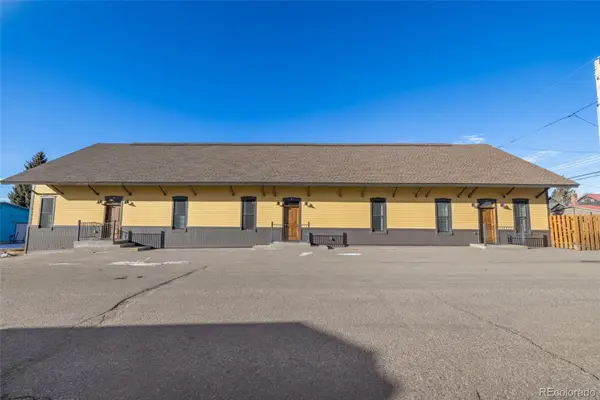 600 Chestnut Street #B, Leadville, CO 80461