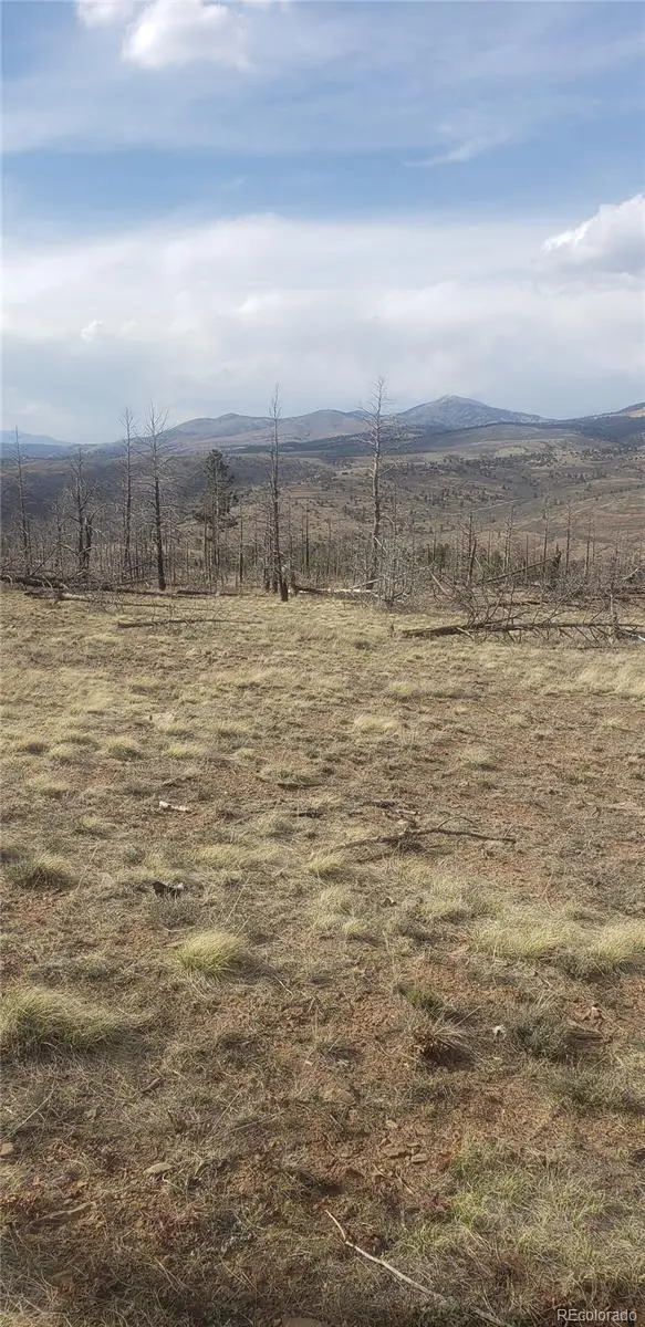 Lot 321 Hagin Lane, Fort Garland, CO 81133