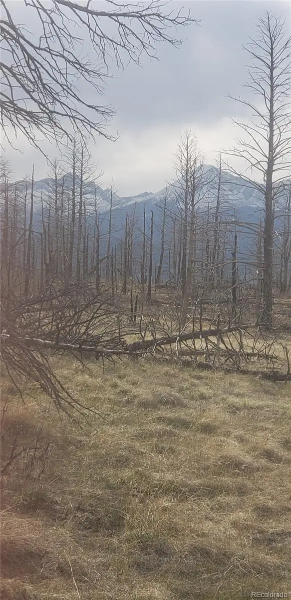 Lot 321 Hagin Lane, Fort Garland, CO 81133 - #2