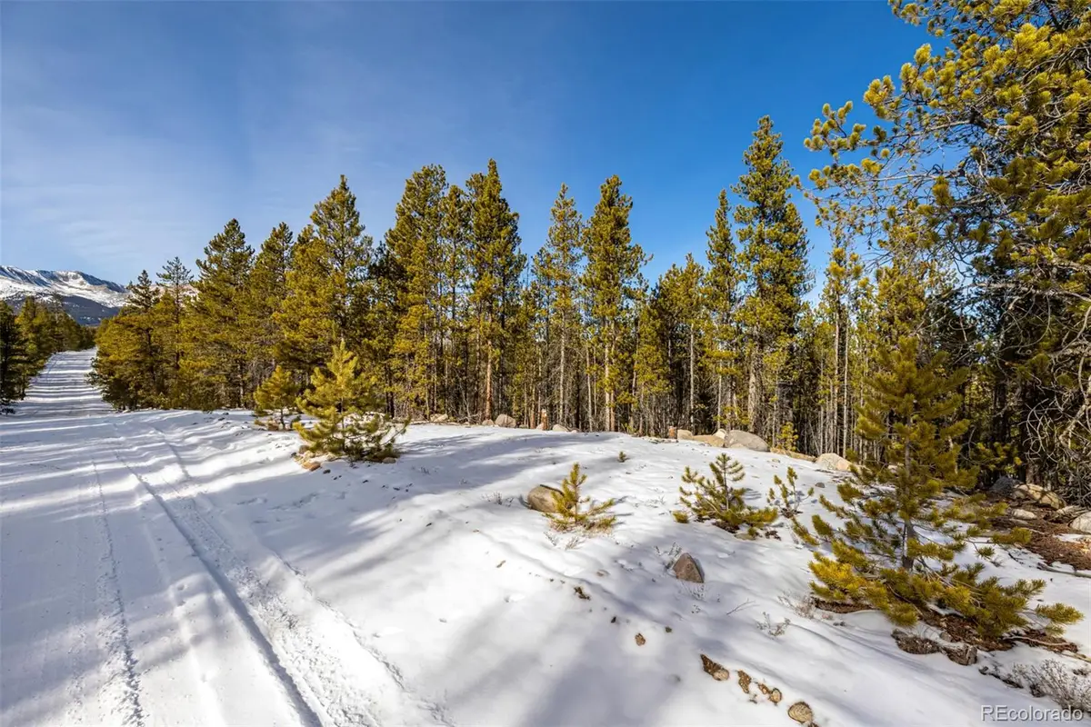 7205 Brassfield Drive, Leadville, CO 80461 - Image #1