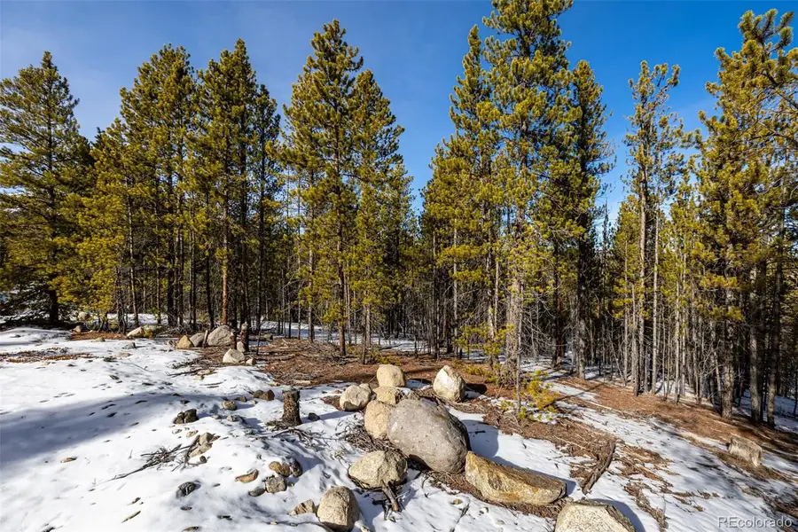 7205 Brassfield Drive, Leadville, CO 80461 - Image #2