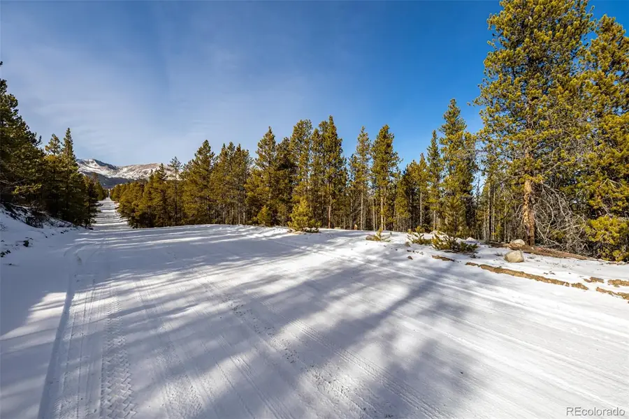 7205 Brassfield Drive, Leadville, CO 80461 - Image #3
